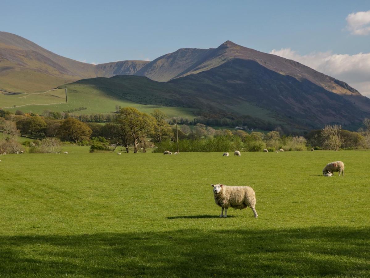 Swaledale Watch Garden Annexe Villa Wigton Buitenkant foto