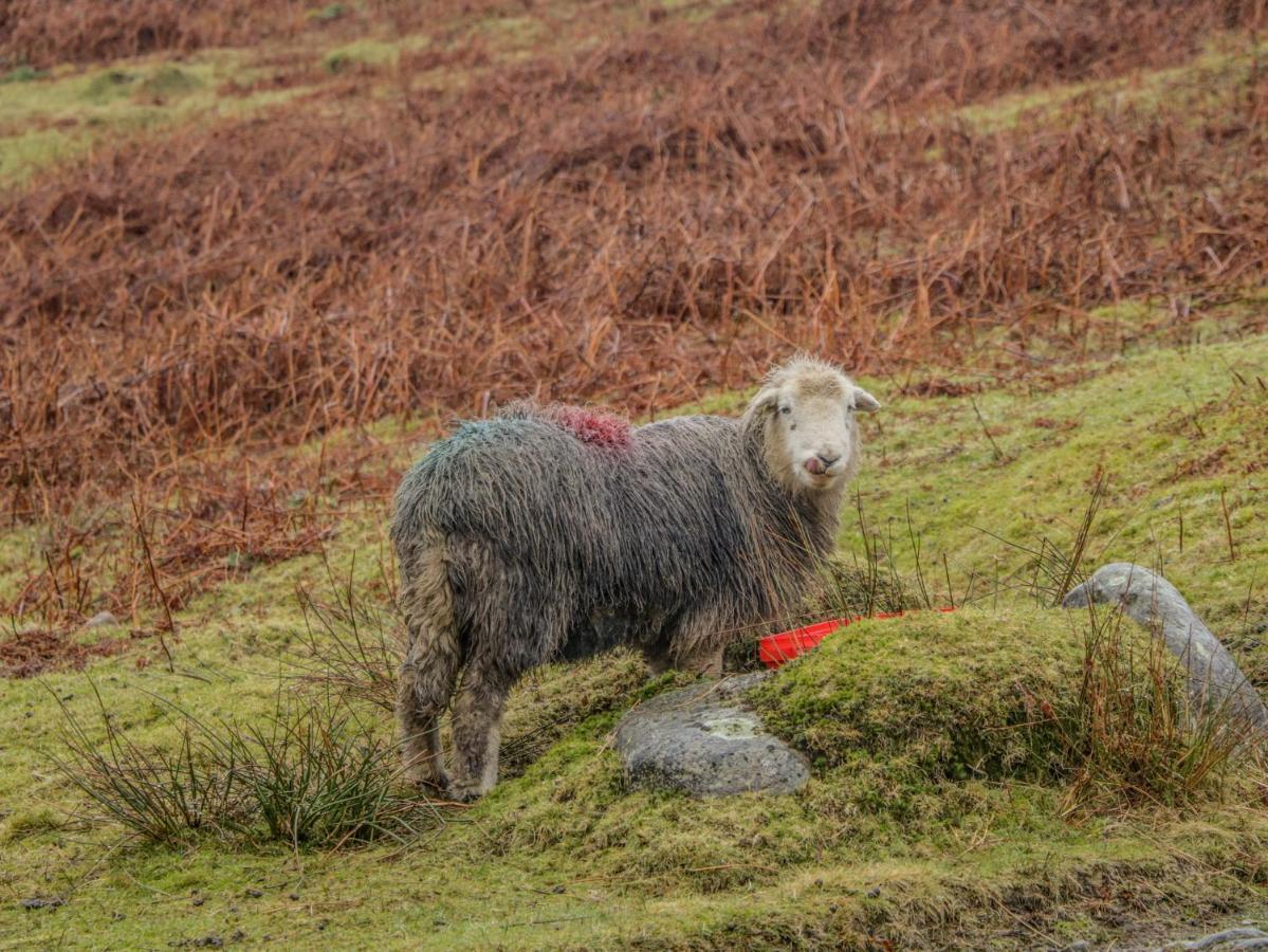 Swaledale Watch Garden Annexe Villa Wigton Buitenkant foto